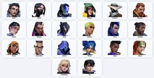 AP | 1 Skins + 20 Agents + 345 RP | Fiber Optic Ghost | Full Access